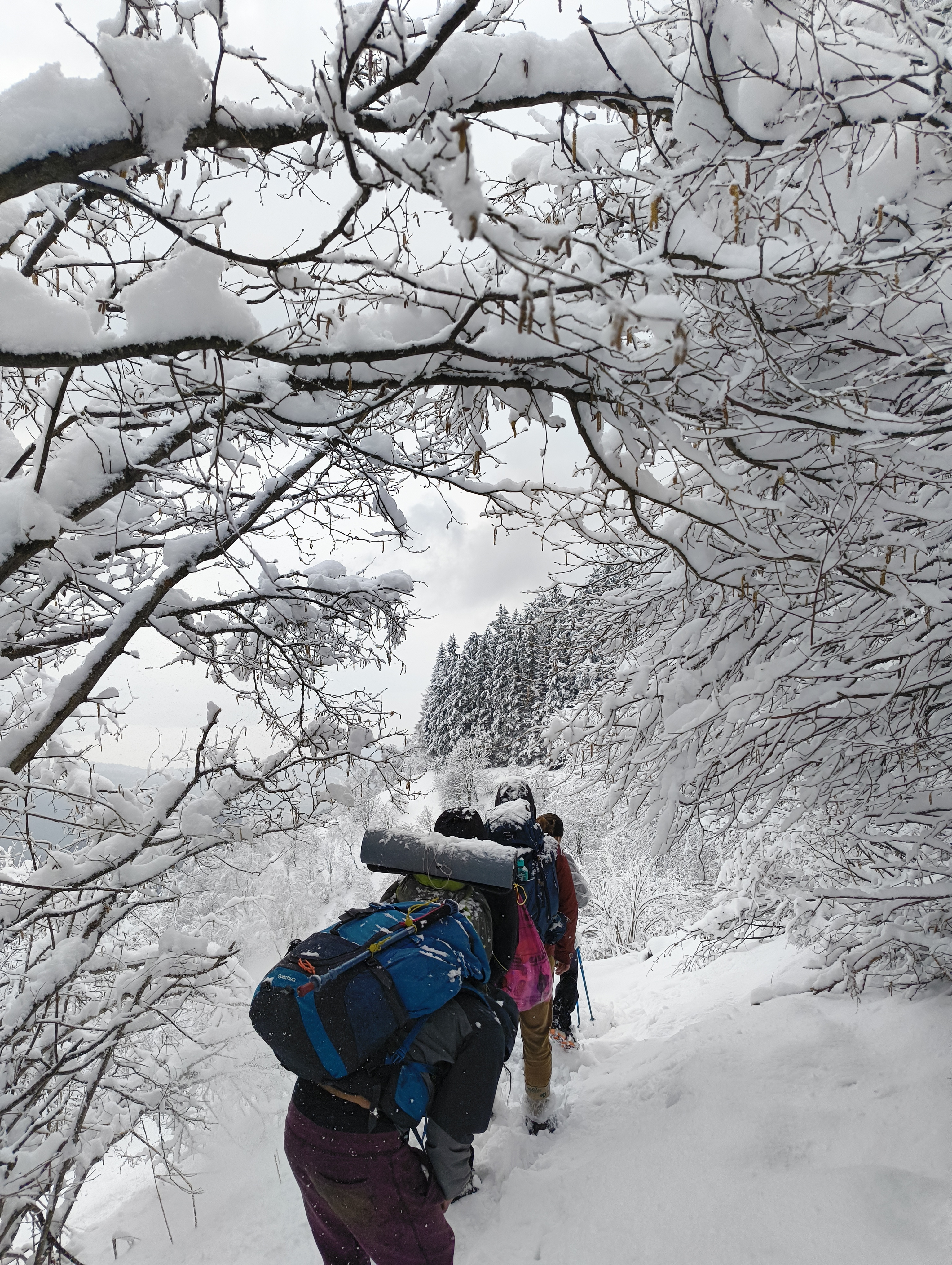 Foto n° 29 del trekking Bivacco del Gufo - Pizzo Pernice │ Alpe Curgei